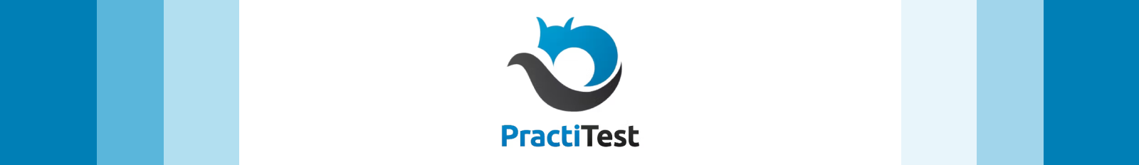 PractiTest logo